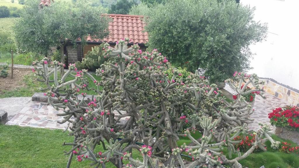 מוטובון Guest House Nena מראה חיצוני תמונה